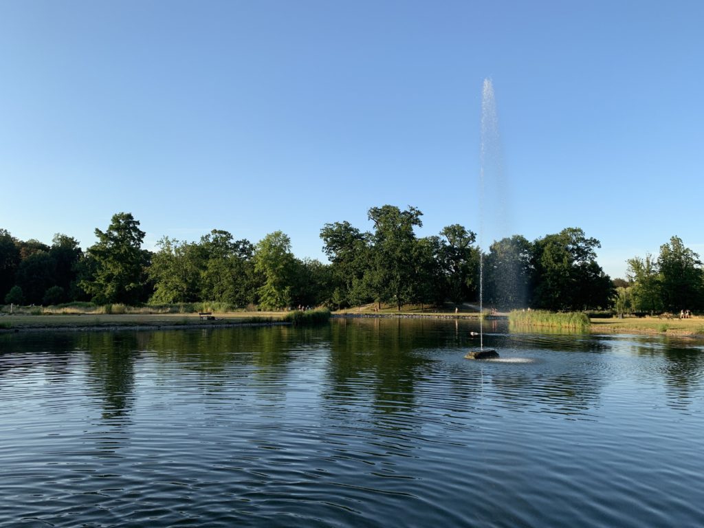 pond in Stromovka Park in Prague