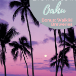 top 5 breweries on Oahu pin for Pinterest with palm trees at dusk in background